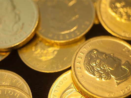 gold coin cover story pic. goldaround 03.02